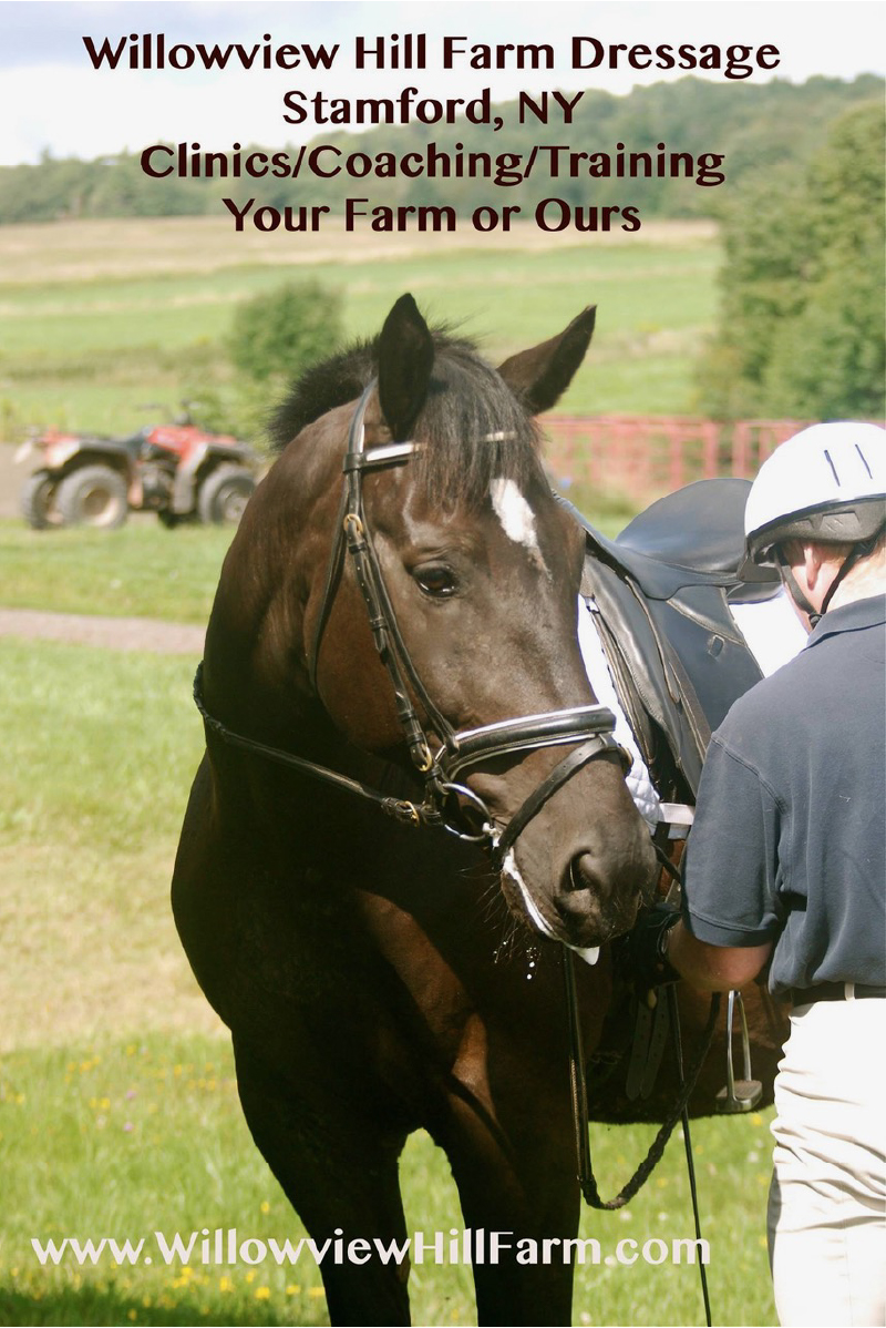 Clinics/Coahging/Training