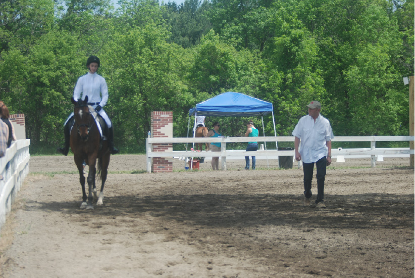 Dressage Show Coaching