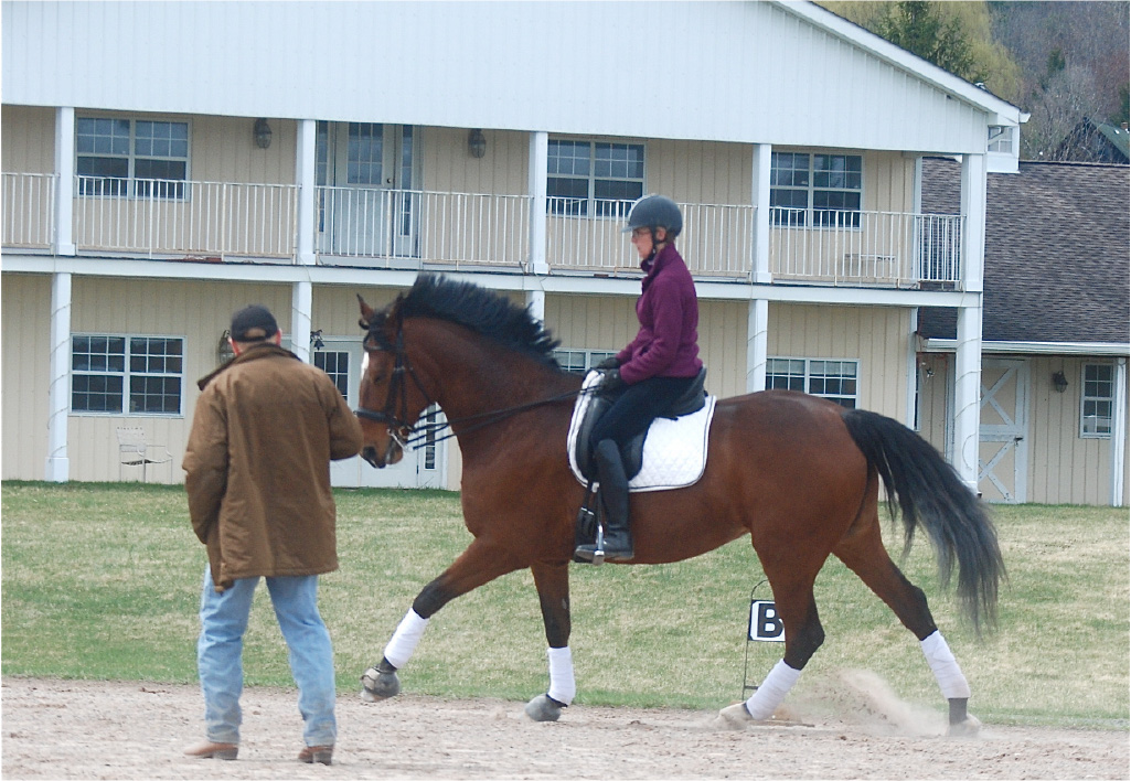 FEI Training