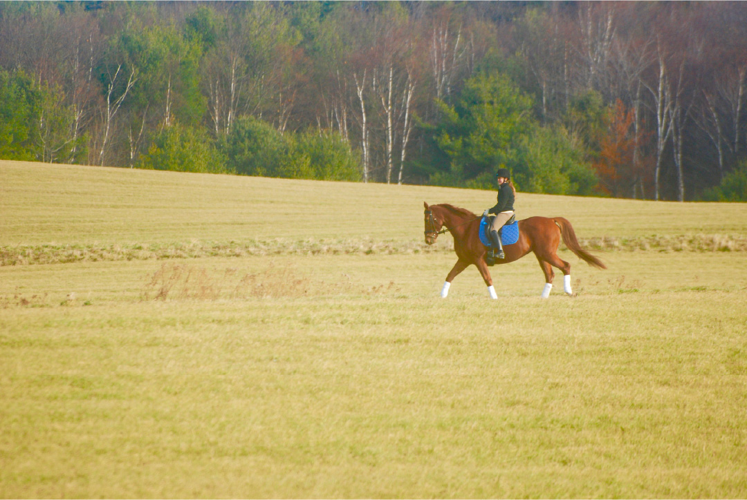 Ride the hay fields